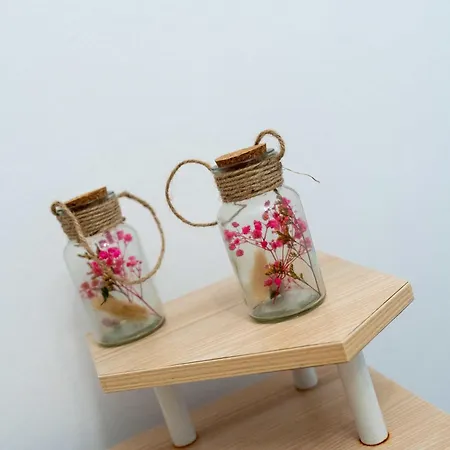 Апарт-отель Dream House Миртеа